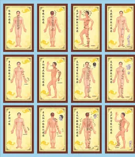 穴位图图片