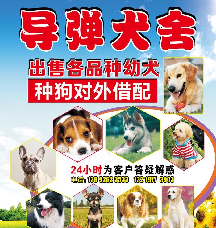 犬舍图片(2000X2170)cdr矢量模版下载