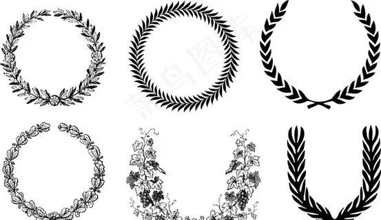 橄榄枝图标图片