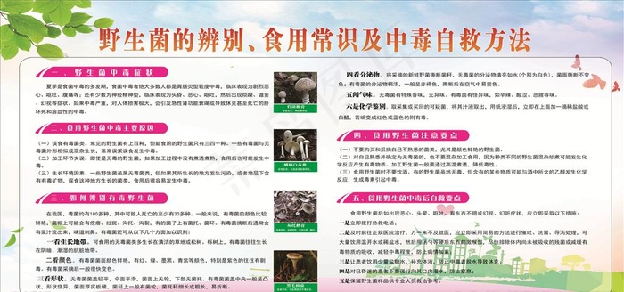 野生菌健康教育宣传栏图片