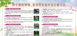 野生菌健康教育宣传栏图片