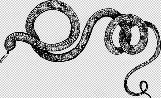 手绘蛇纹图片