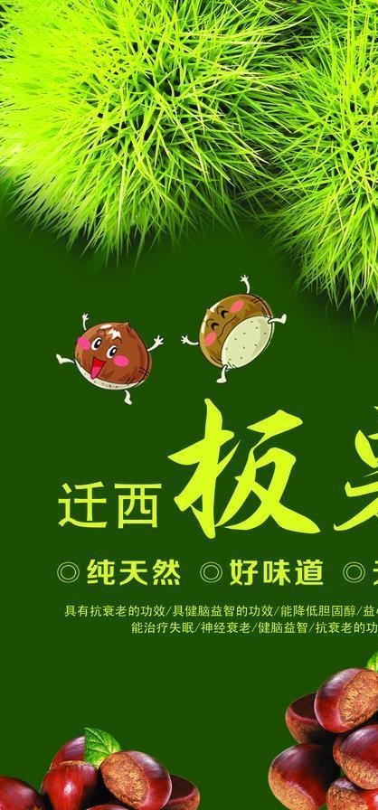 糖炒板栗迁西板栗海报图片(2898X5134(DPI:80))psd模版下载