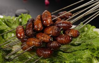 烤蚕蛹 烧烤图片