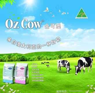 金可澳奶粉图片