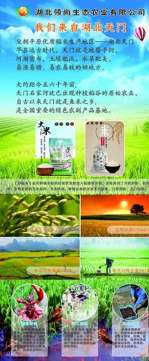 虾稻养殖展架图片