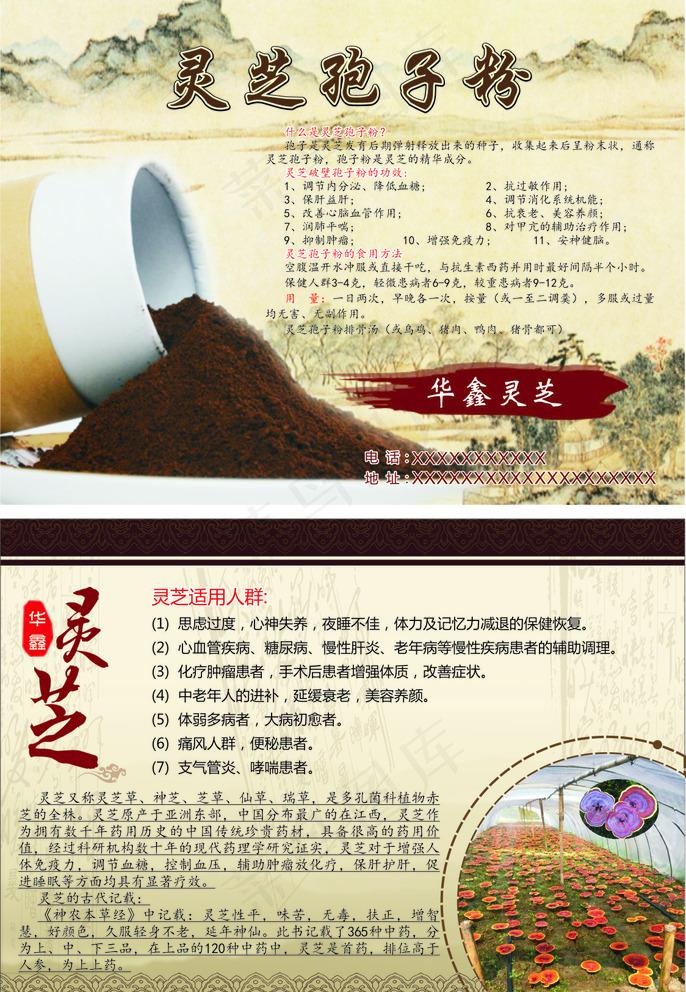 灵芝宣传单图片cdr矢量模版下载