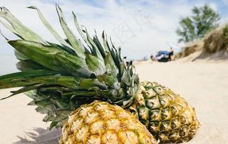 菠萝图片