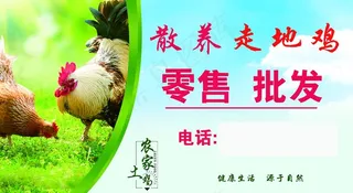 散养走地鸡名片图片
