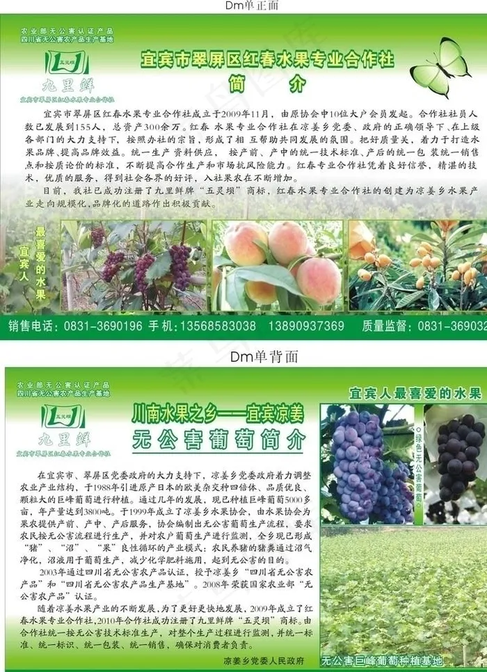 农产品宣传单图片cdr矢量模版下载