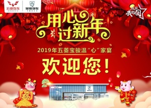 宝骏新年背板图片