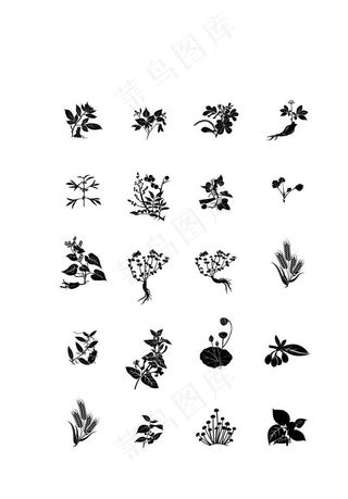 植物 草药 枸杞 草本矢量图图片