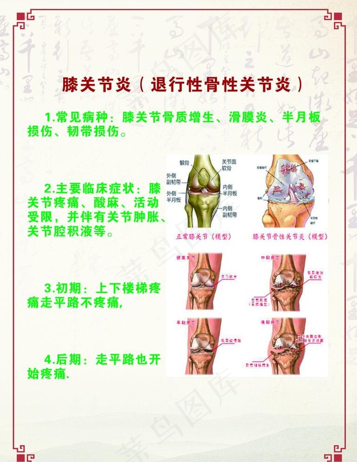 膝关节炎展板图片