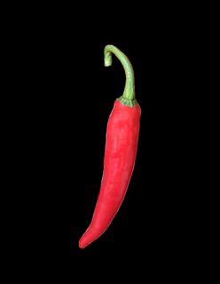 免抠素材红辣椒图片