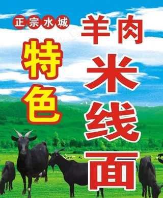 羊肉黑山羊图片