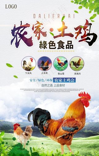 农家土鸡海报图片