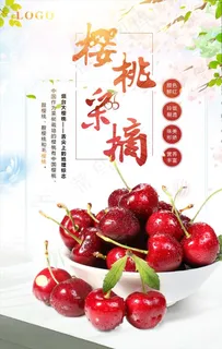 樱桃采摘图片 樱桃采摘图片