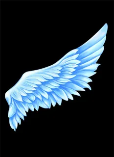 天使的翅膀图片 天使的翅膀图片