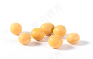 黄豆图片
