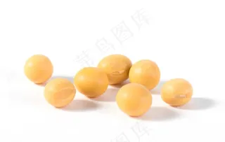黄豆图片
