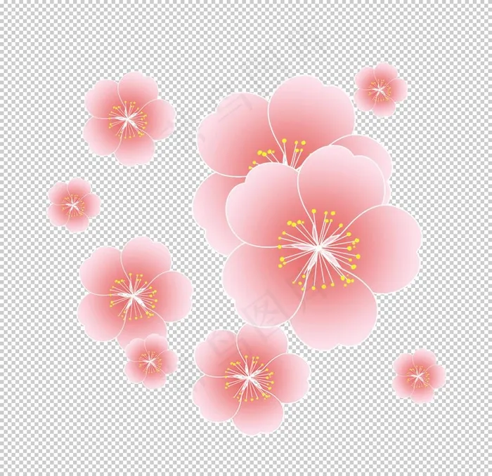 梅花图片