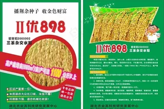 水稻单页图片