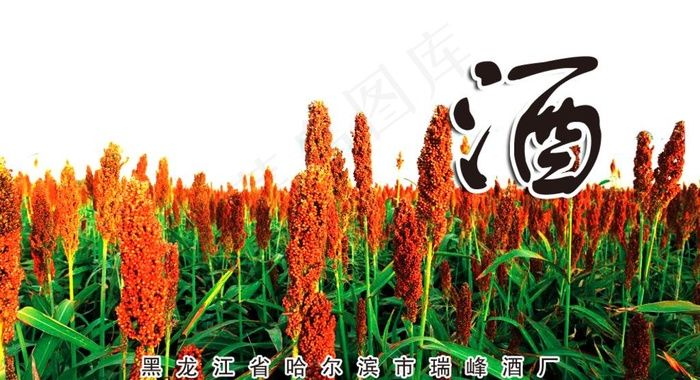 红高粱海报图片psd模版下载