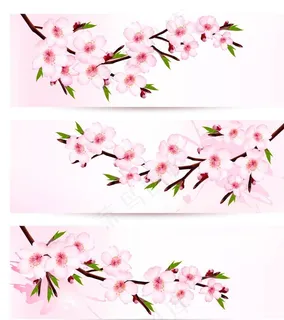 樱花图片 樱花图片