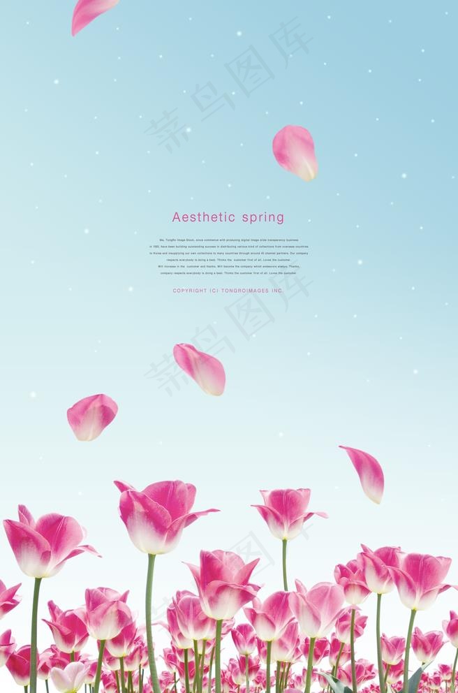 鲜花海报图片(3366X5256(DPI:300))psd模版下载