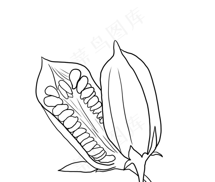 芝麻图片psd模版下载