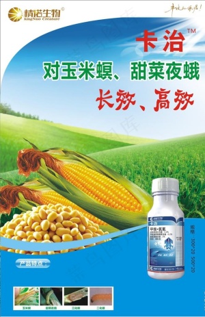 卡治彩页图片