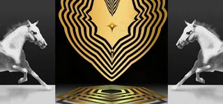 白马装饰画图片