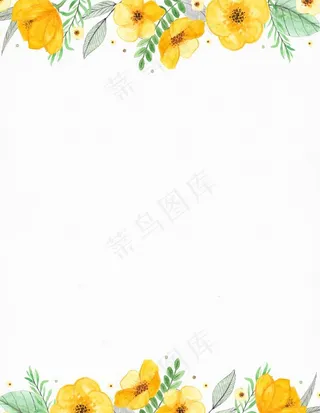 花边边框花卉底纹背景图片