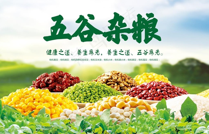 五谷杂粮图片