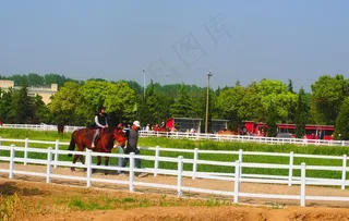 骑马 跑马场图片