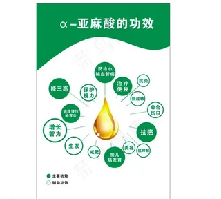 亚麻酸功效图片