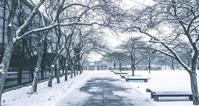 雪景图片