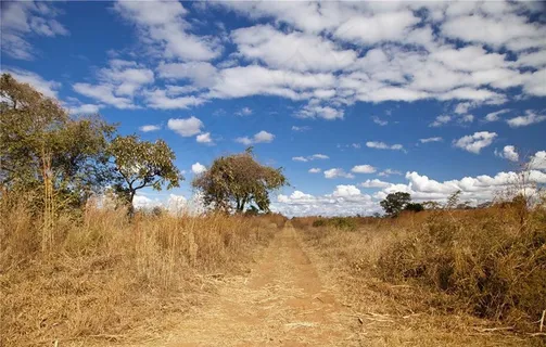 非洲大草原风光图片 非洲大草原风光图片