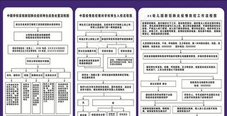 预防新冠肺炎疫情流程图图片