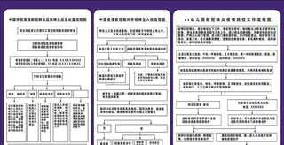 预防新冠肺炎疫情流程图图片