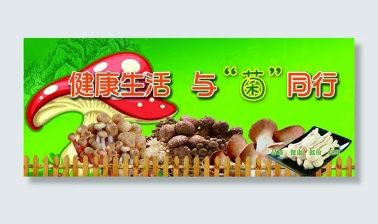 菌菇图片