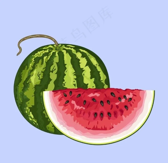 西瓜图片ai矢量模版下载
