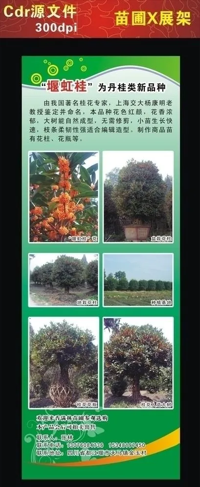 苗圃展架图片cdr矢量模版下载