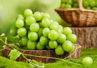 阳光玫瑰葡萄图片