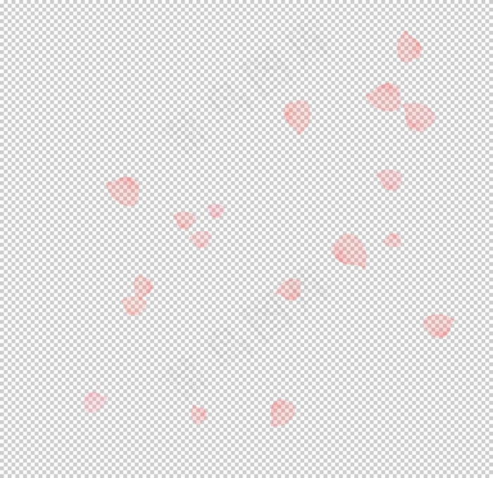 飘落的花瓣图片