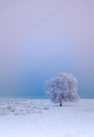 雪景图片