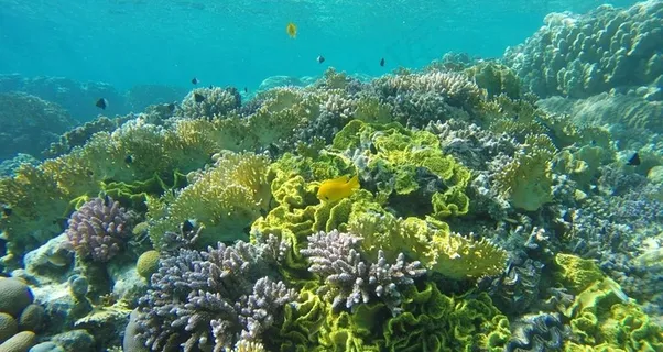 海底世界图片 海底世界图片