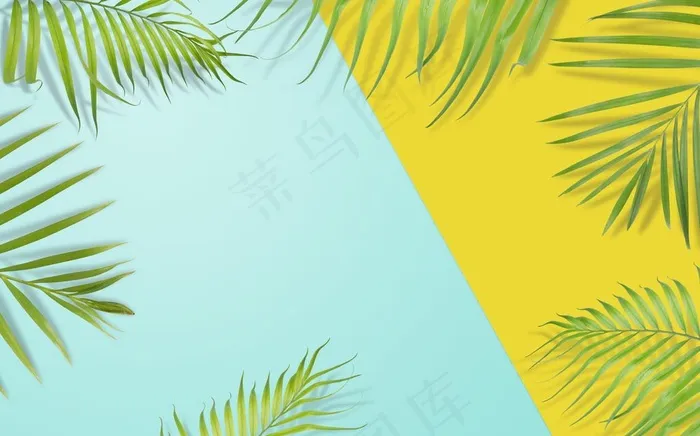 树叶背景图片
