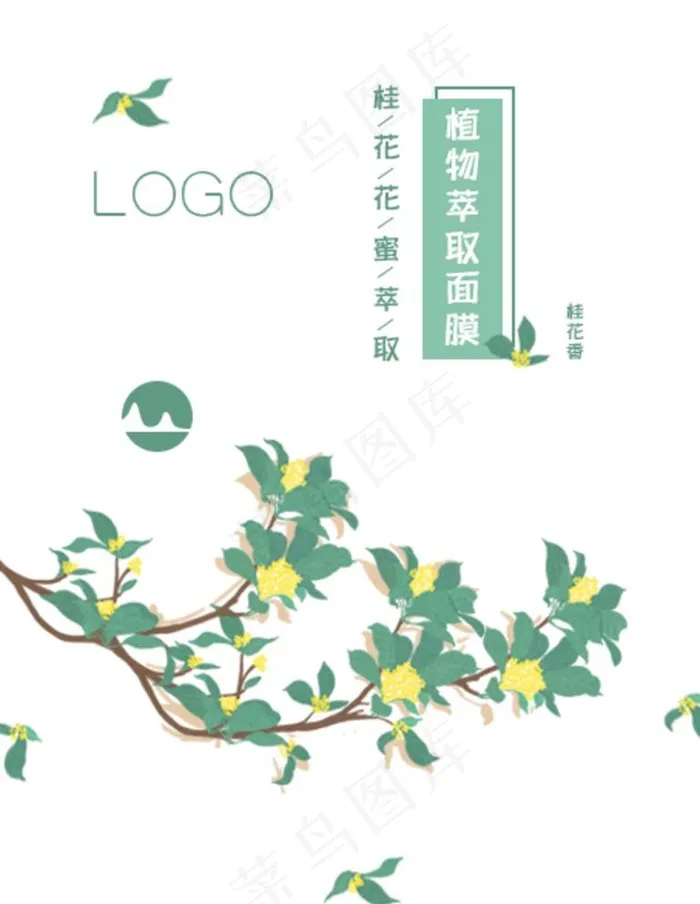 桂花植物萃取包装图片psd模版下载