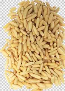 透明小麦png素材图片 透明小麦png素材图片